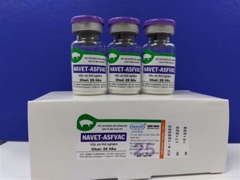 asf vaccine